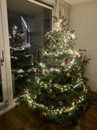 Kerstboom-nordmann-fam-mark