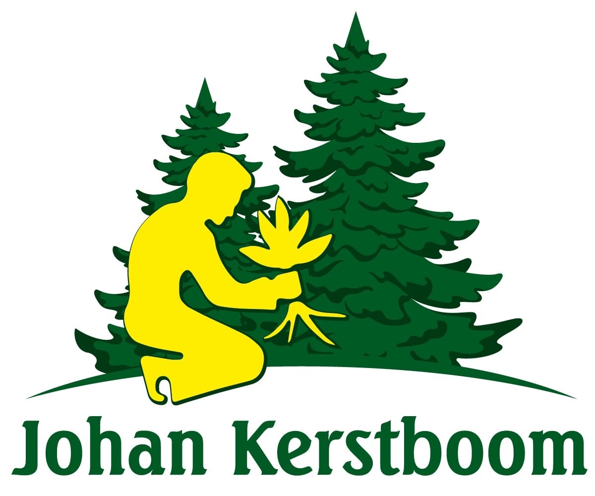 Johan Kerstboom - Online of Kom langs in Weesp!